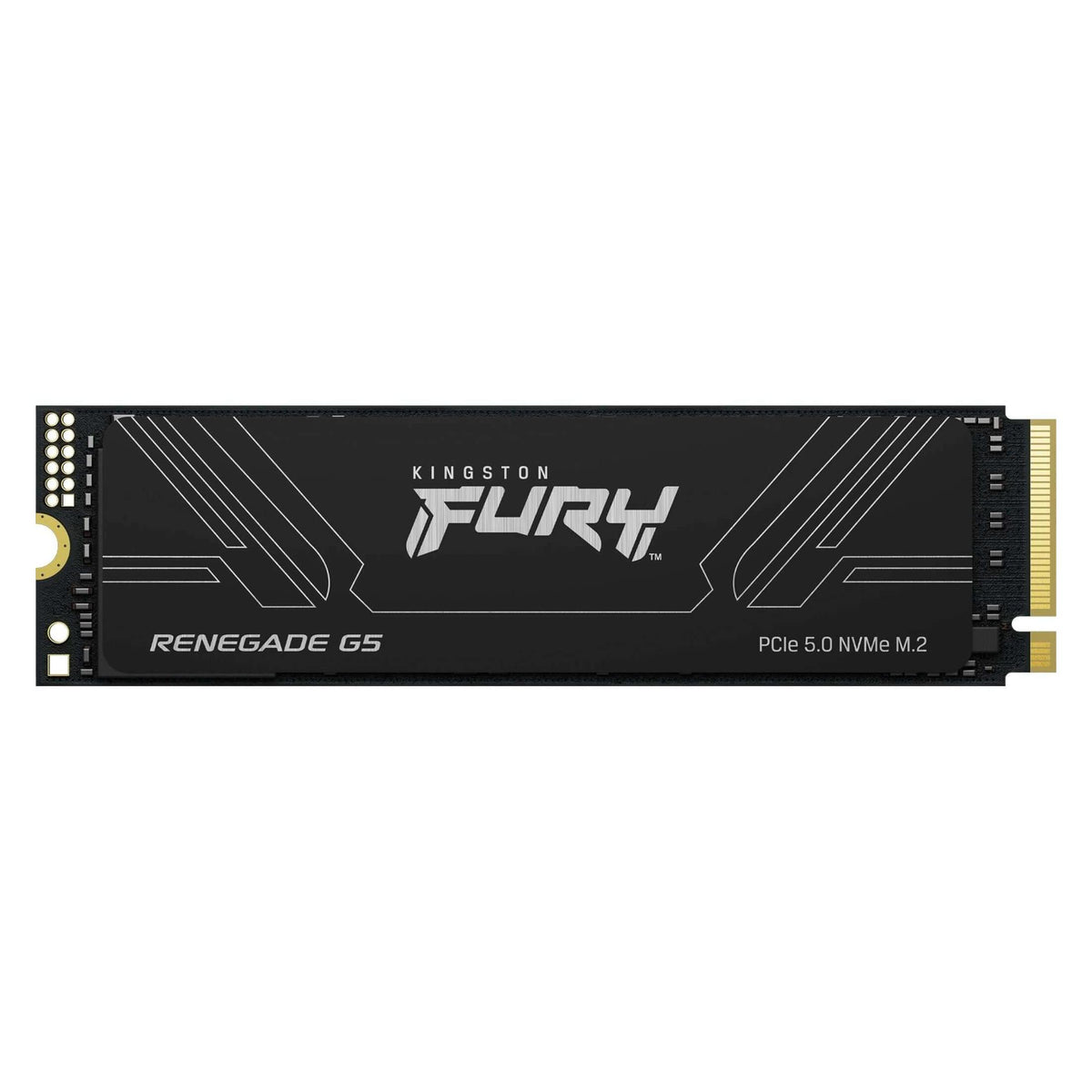 Kingston FURY Renegade G5 (2000 Go, M.2 2280)
