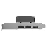 Zotac RTX 5050 LP 8GB GDDR6 HDMI 3xDP (8 Go, GDDR6)