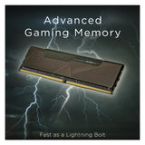 Klevv Kit Barrettes mémoire 32Go (2x16Go) Gaming Bolt X 3200Mhz (Noir) (2 x 16GB, 3200 MHz, RAM DDR4, DIMM)