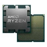 AMD Ryzen 9 9900X3D (AM5, 4.40 GHz, 12 -Core)