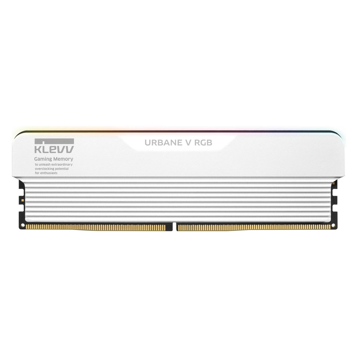 Klevv 32GB (16GBx2) URBANE V RGB 6000MHz CL28 DDR5 Kit White (2 x 16GB, 6000 MHz, RAM DDR5, DIMM)
