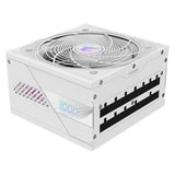 Gigabyte Aorus Elite P1000W (1000 W)