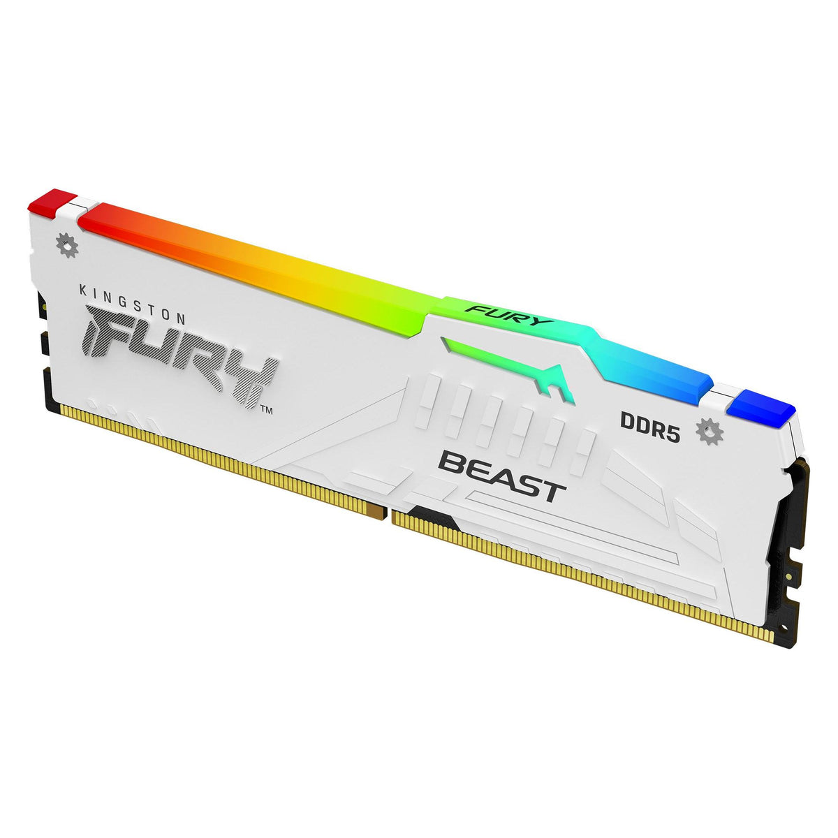 Kingston Fury Beastv (2 x 32GB, 6000 MHz, RAM DDR5)