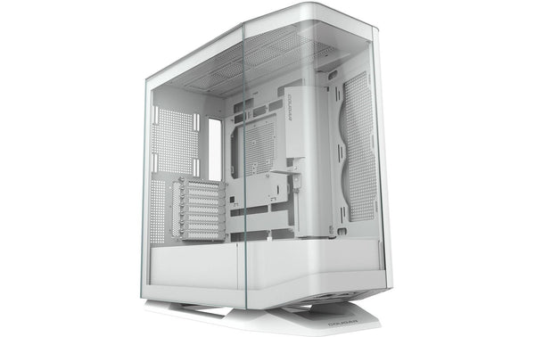 Cougar Case FV27