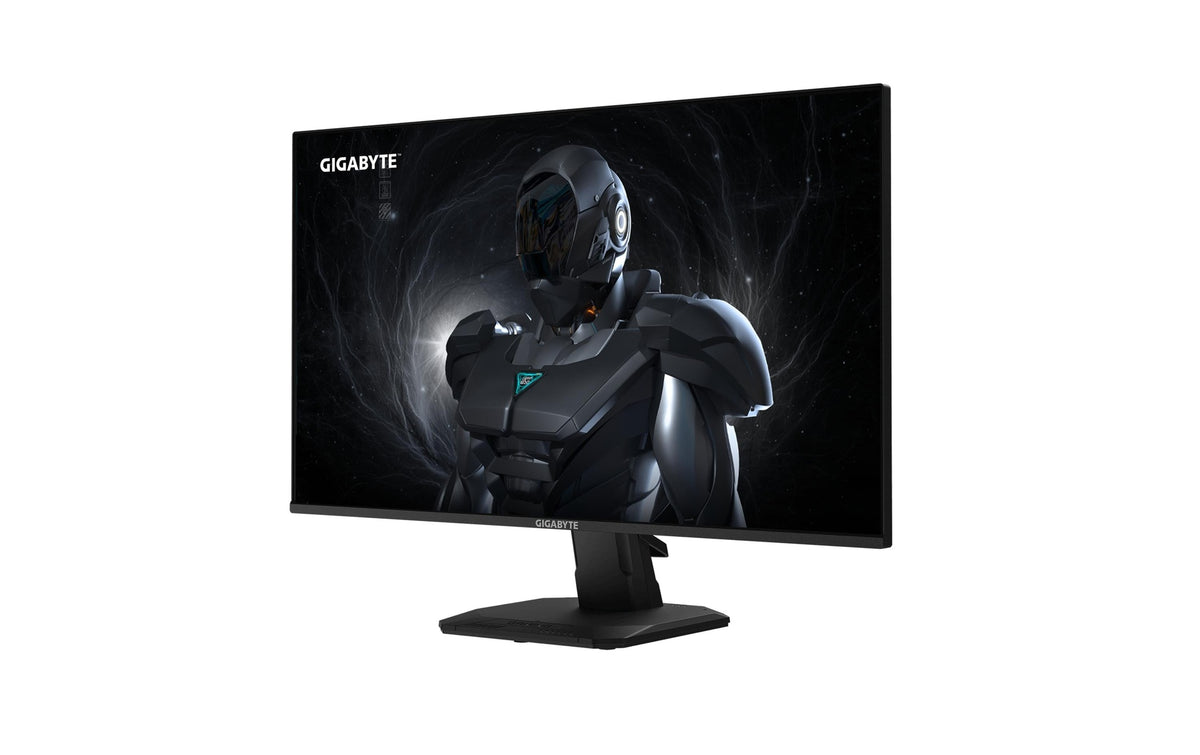 Gigabyte GS25F14 24,5 IPS