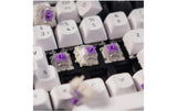 Q3 HE Carbon Black QMK Magnetschalter, DE