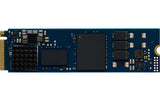SSD Kingston Enterprise DC2000B 480GB, M.2